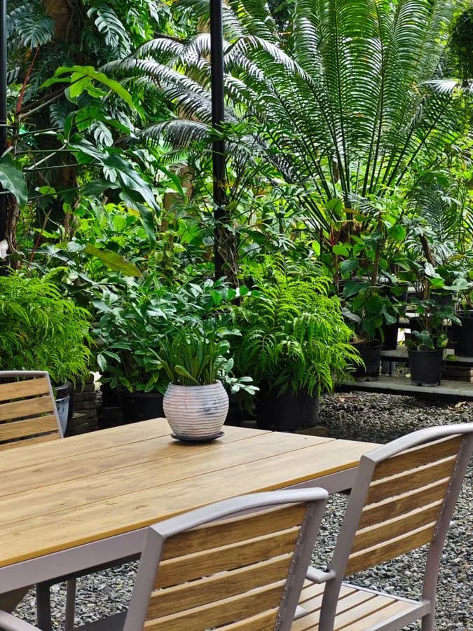 Garden patio surrounded by lush greenery